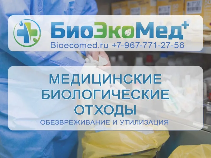 Медицинские биологические отходы